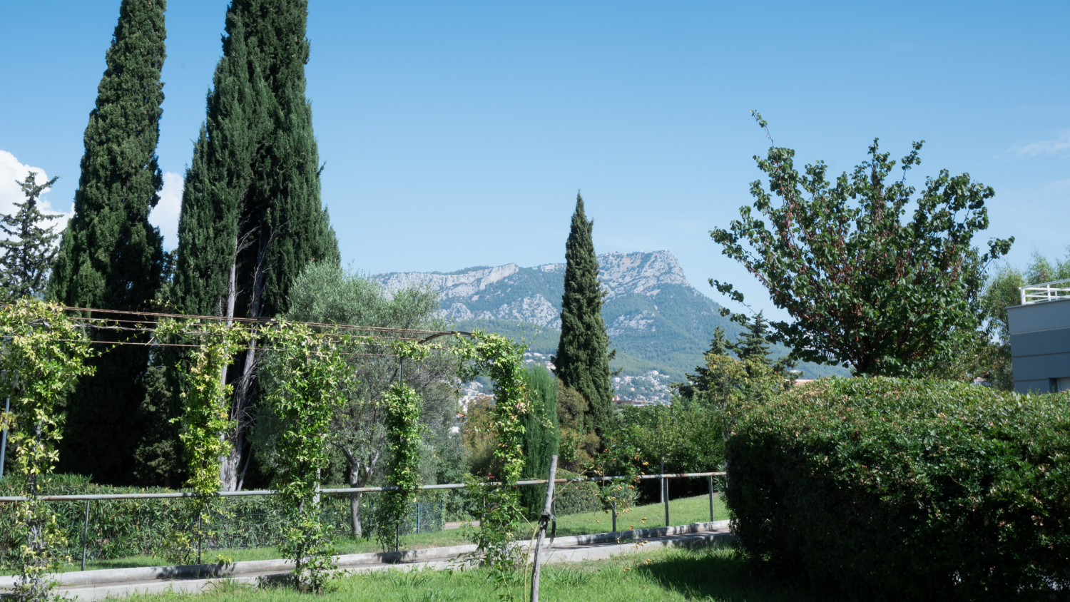 Jardin