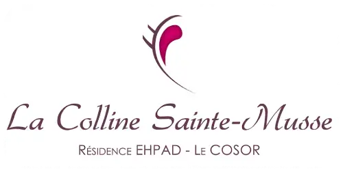 collinestemusse.com